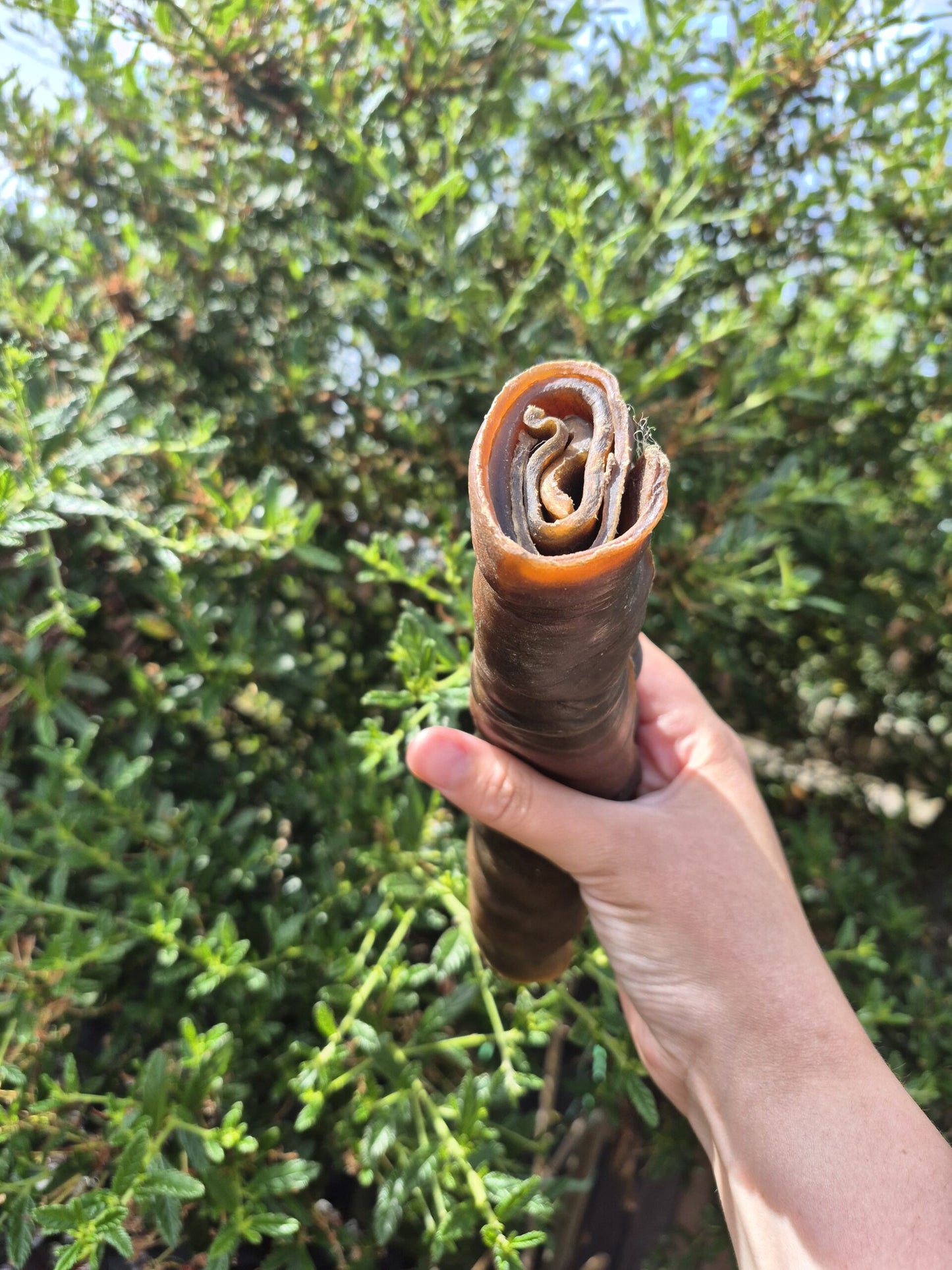 Jumbo Camel Skin Roll