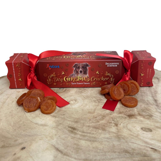 Christmas Cracker with Turkey treats