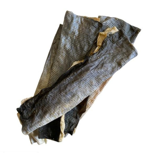 Fish Skin Flattie