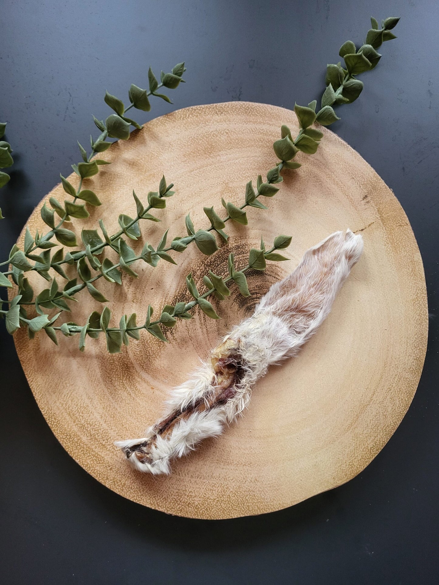Hairy Rabbit Ear