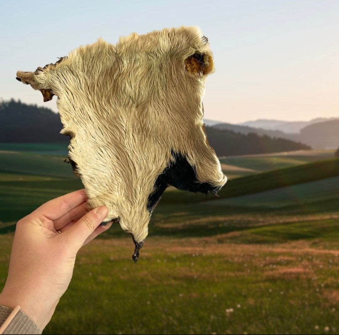 XL Hairy Beef Skin