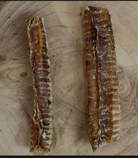 24cm Beef Trachea