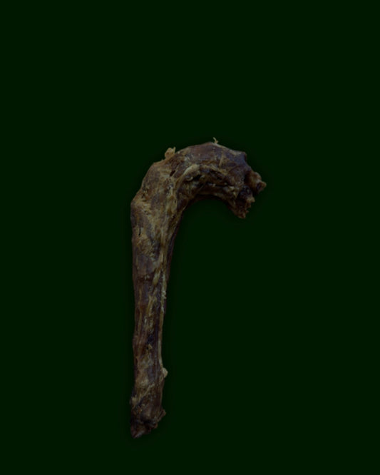 Turkey Neck