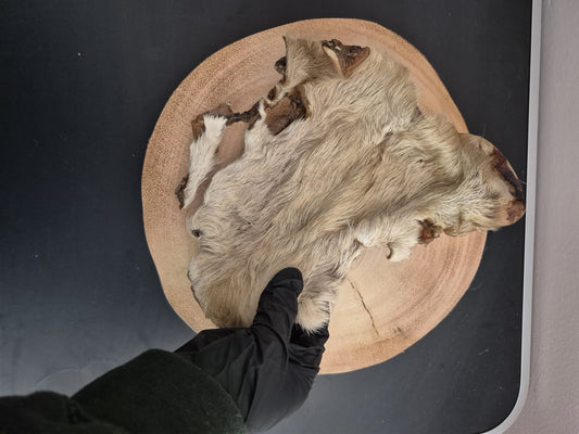 XL Hairy Beef Skin