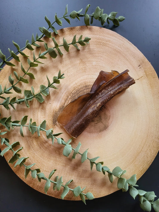 Camel Stick