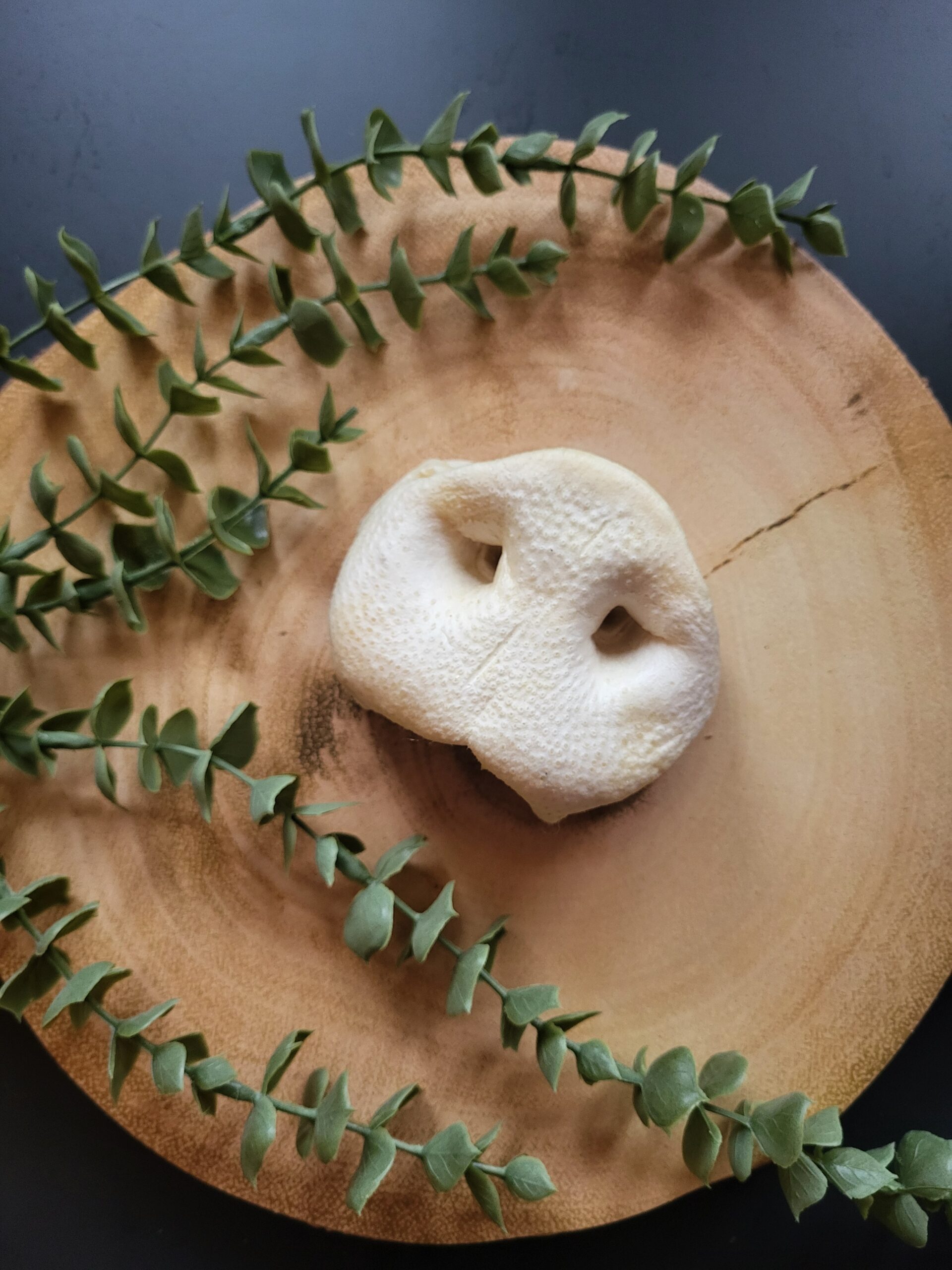 Puffed Pig Snout