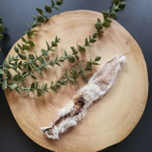 Hairy Rabbit Ear