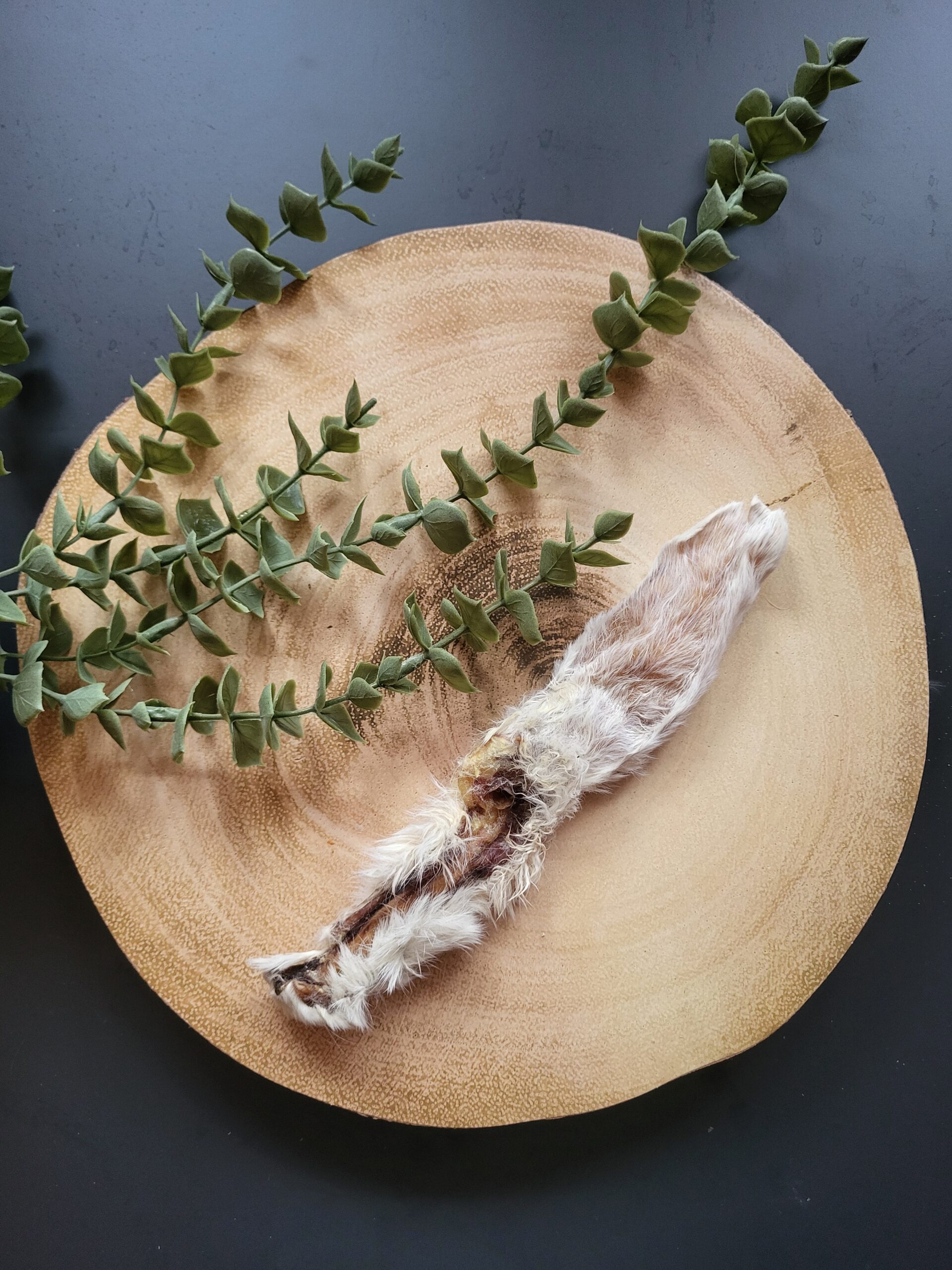 Hairy Rabbit Ear