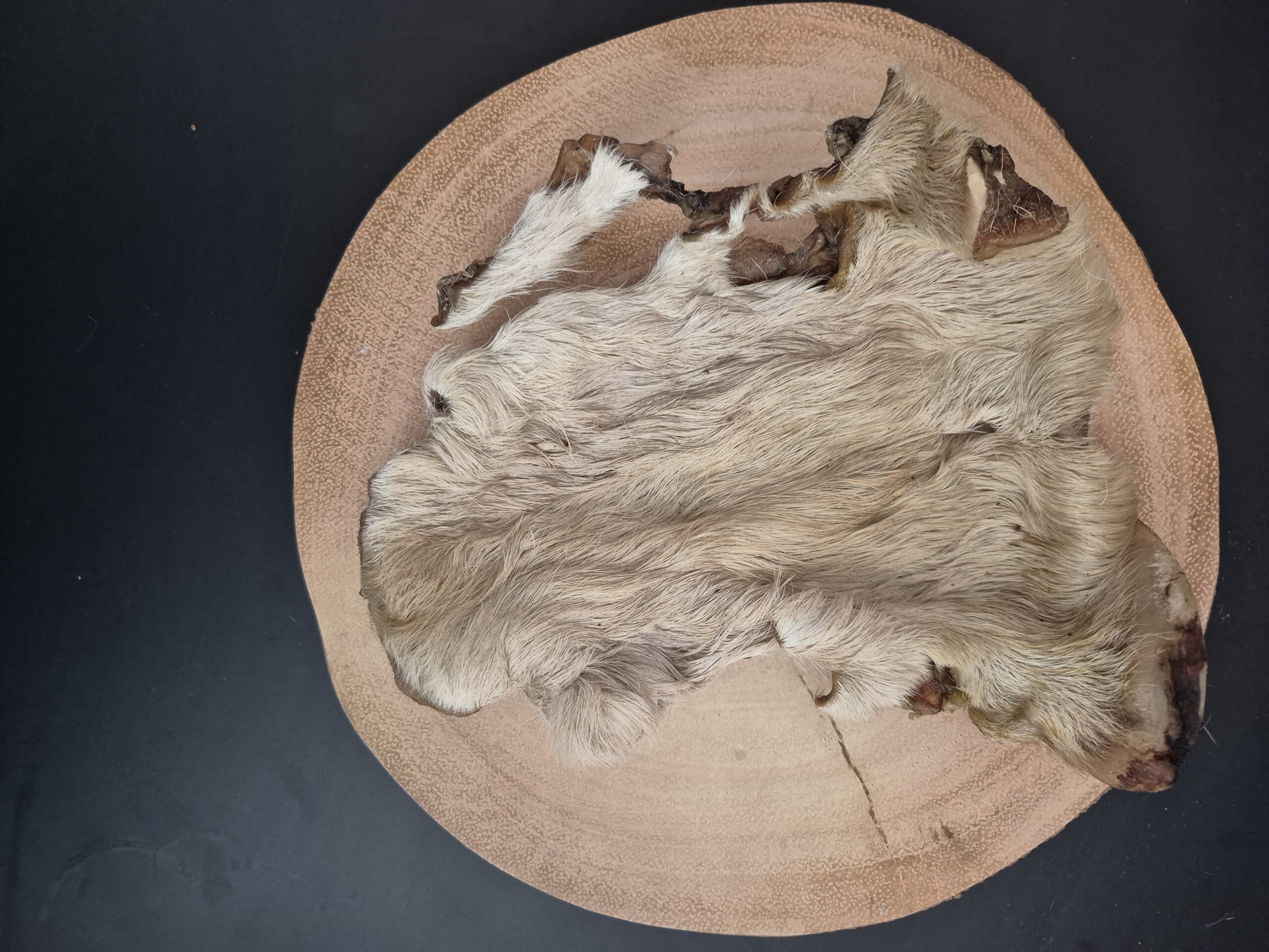XL Hairy Beef Skin - Image 3