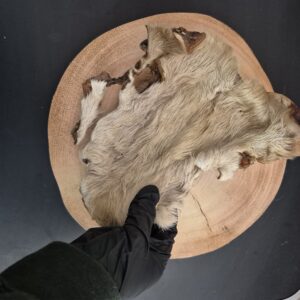 XL Hairy Beef Skin