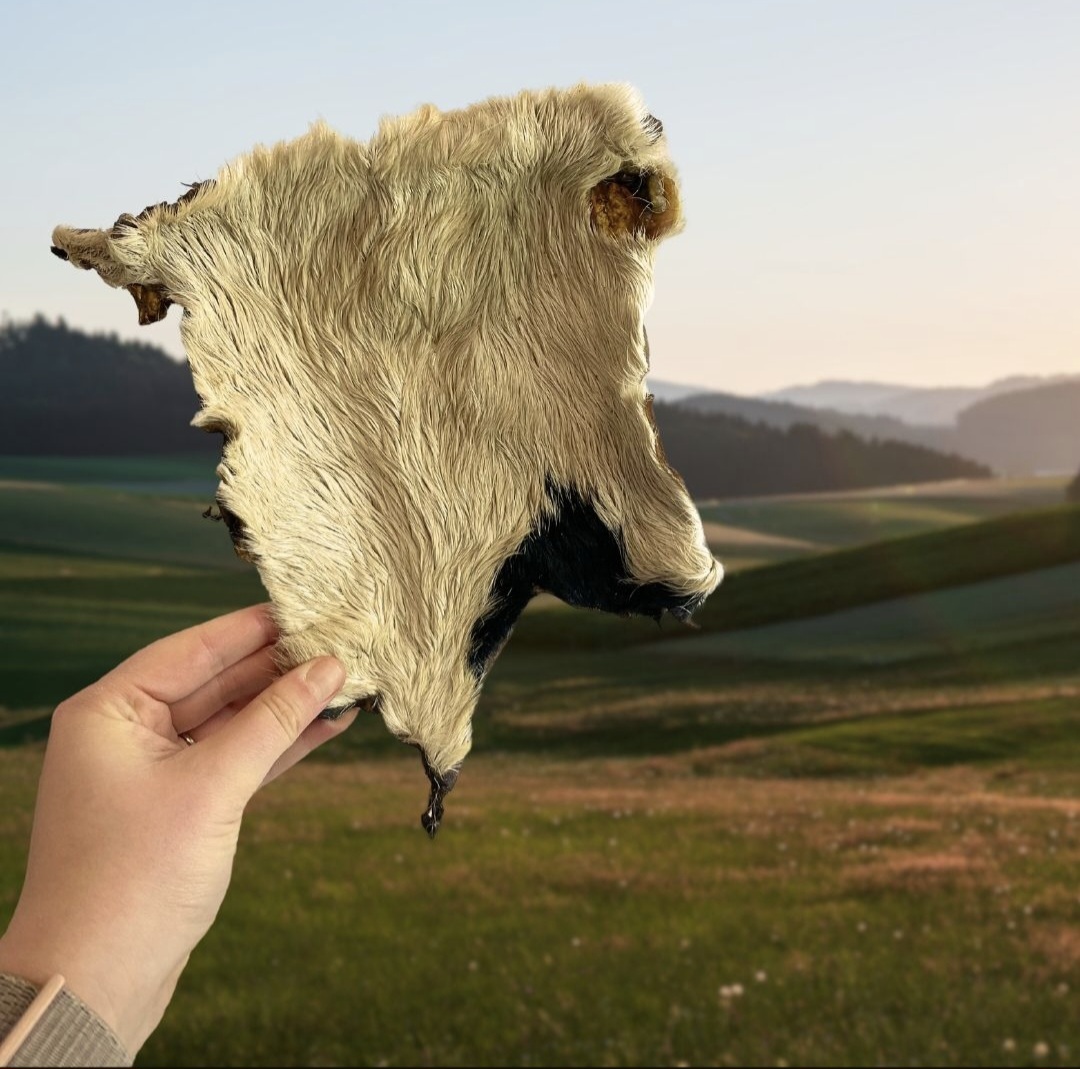 XL Hairy Beef Skin - Image 2