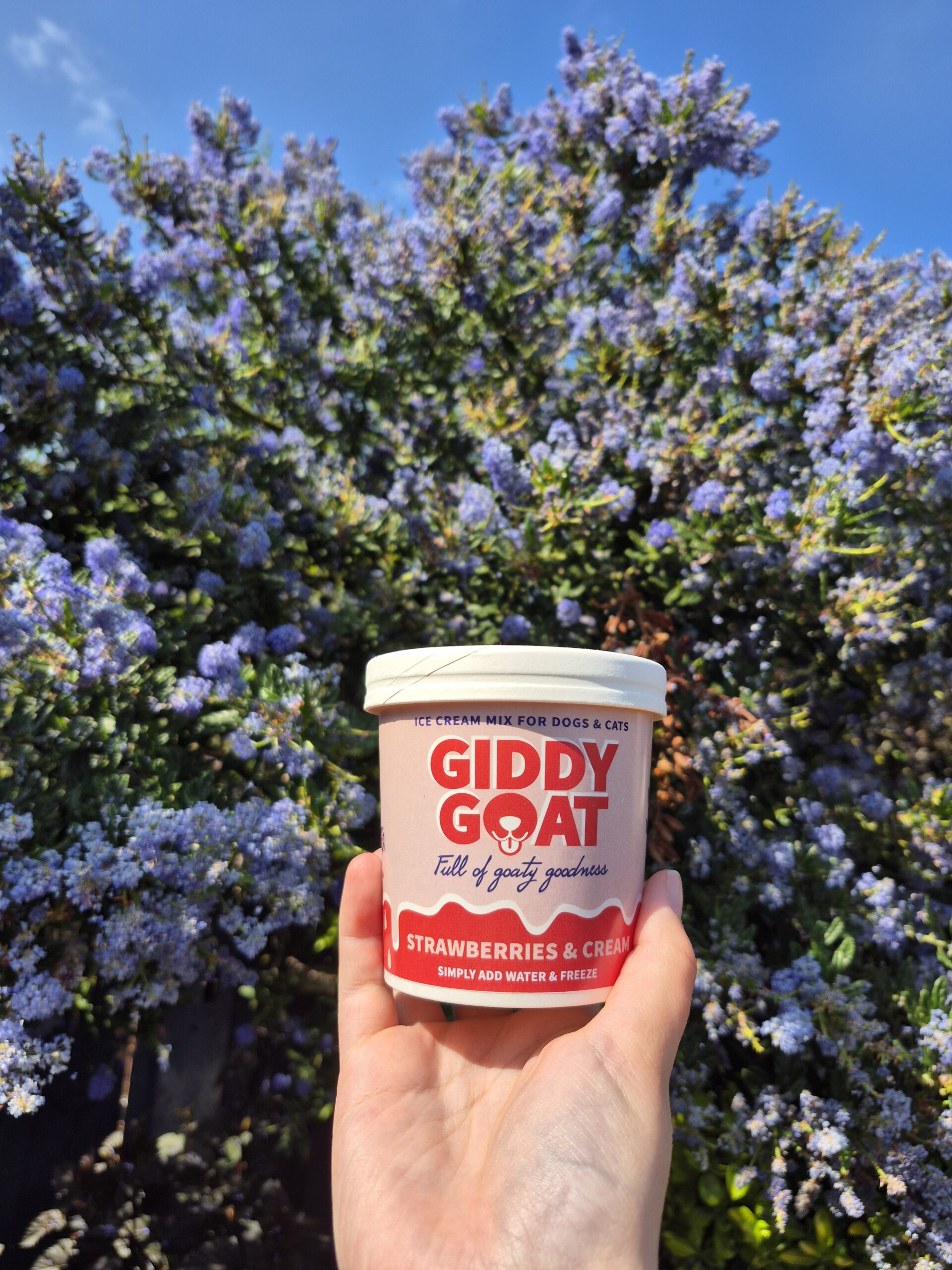 Giddy Goat Ice Cream Mix - Image 3