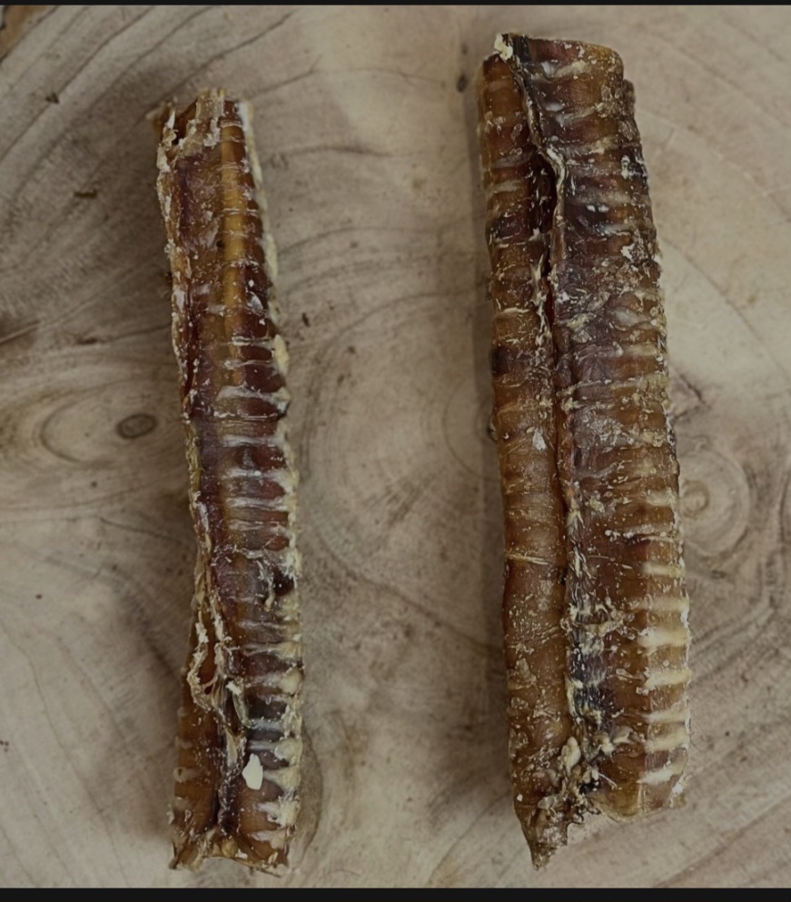 24cm Beef Trachea
