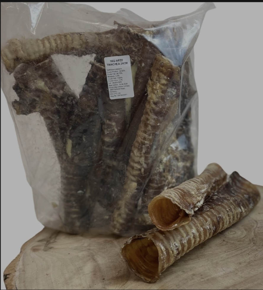 24cm Beef Trachea - Image 2