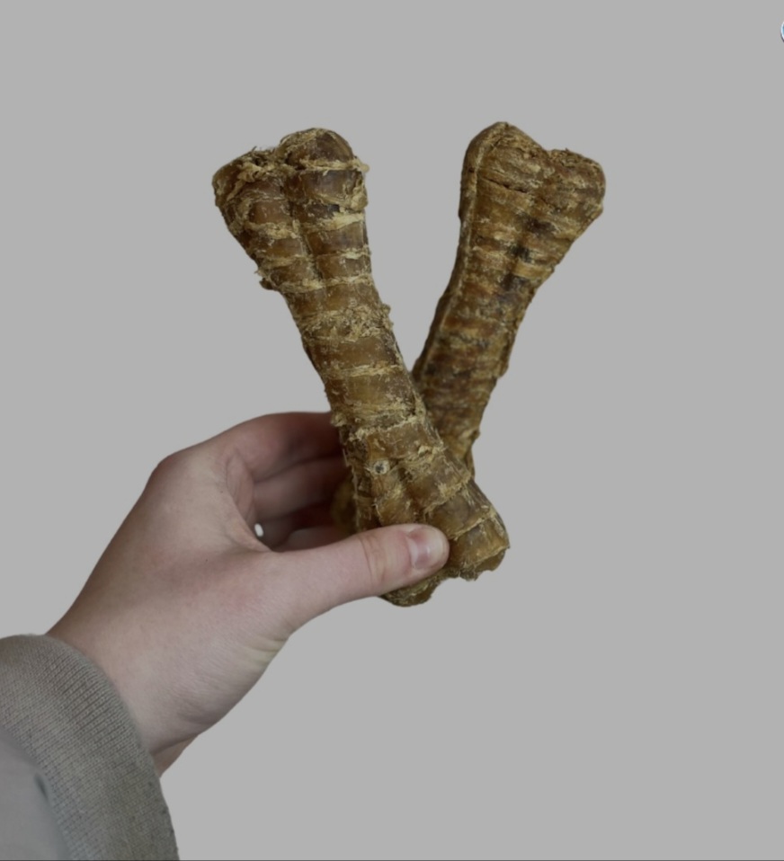 Buffalo Trachea Bone