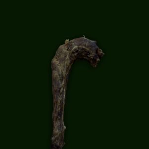 Turkey Neck