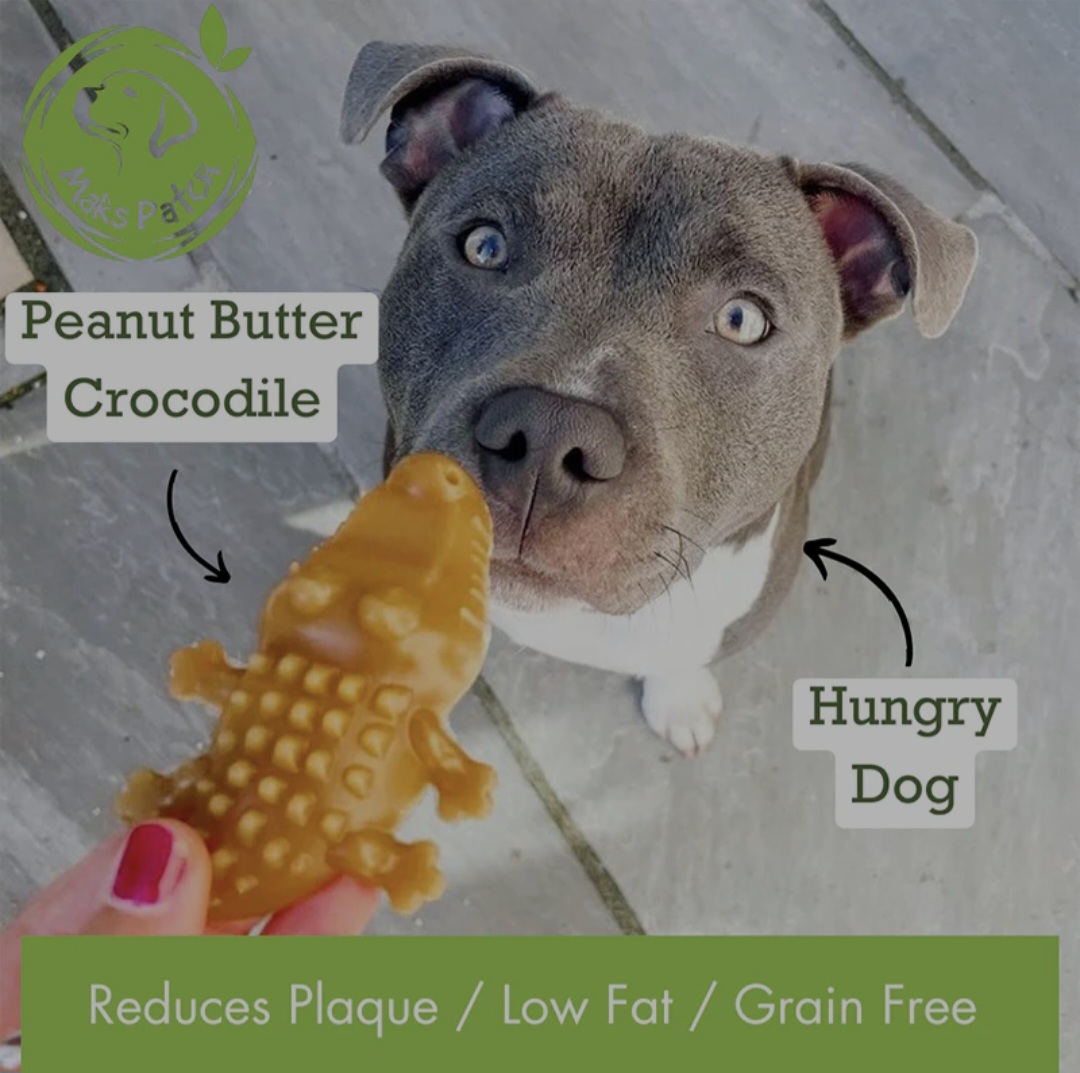 Veggie Crocodile - Image 3